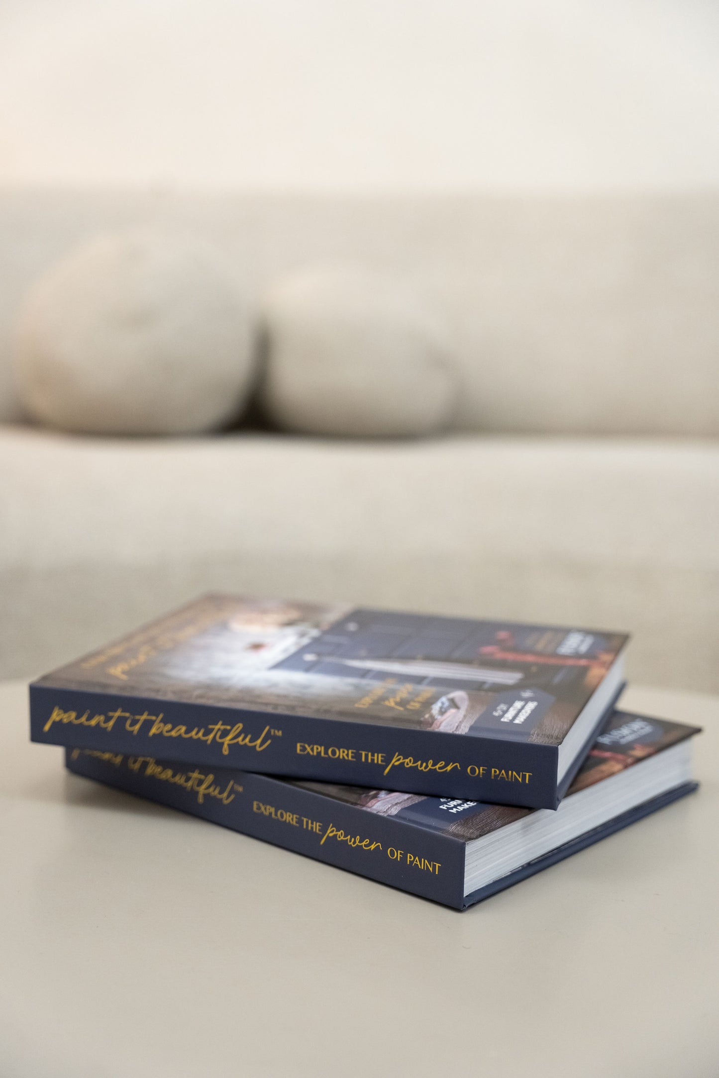 Explore The Power of Paint - Fusion Mineral Paint furniture project and advice book