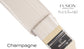 Champagne Metallic Paint