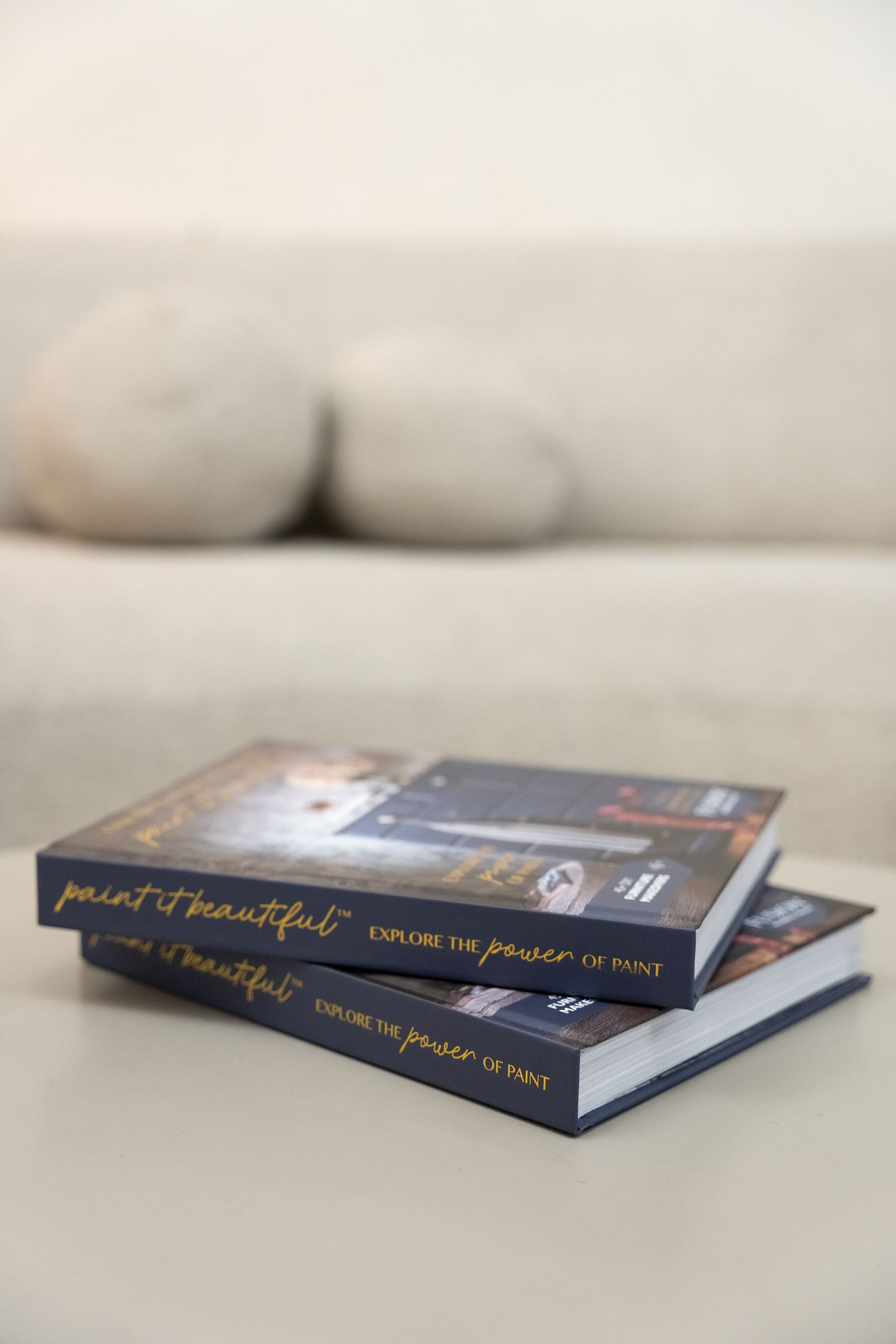 Explore The Power of Paint - Fusion Mineral Paint furniture project and advice book