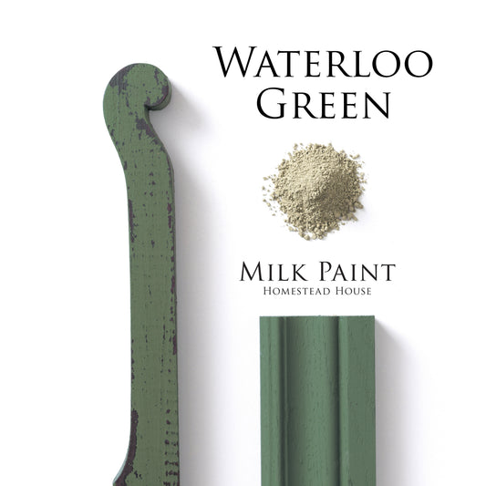 Waterloo Green homestead House Milk Paint colour swatches on distressed trim, painted moulding and milk paint powder